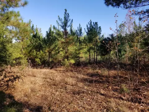5100 Moorefield Rd, Cunningham, TN 37052 photo 1