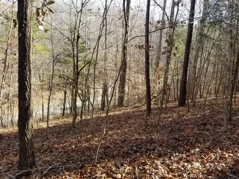 5100 Moorefield Rd, Cunningham, TN 37052 photo 8