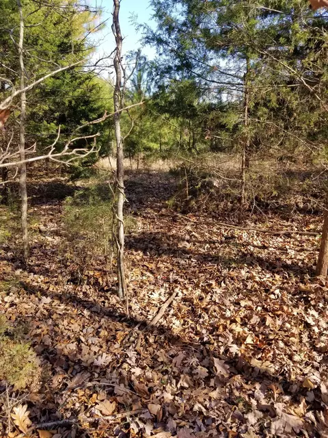 5100 Moorefield Rd, Cunningham, TN 37052 photo 3