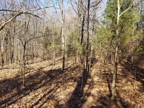 5100 Moorefield Rd, Cunningham, TN 37052 photo 6