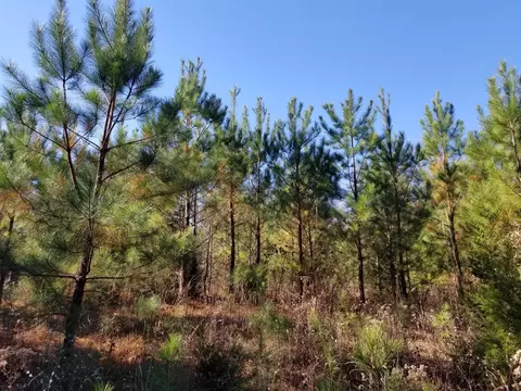 5100 Moorefield Rd, Cunningham, TN 37052 photo 7