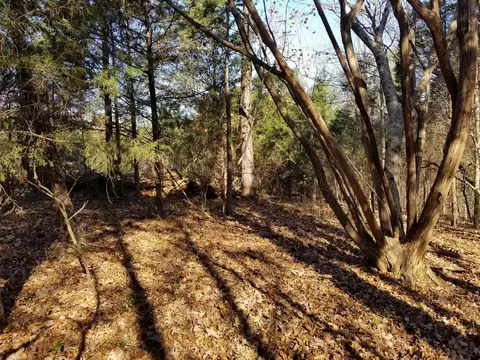 5100 Moorefield Rd, Cunningham, TN 37052 photo 2