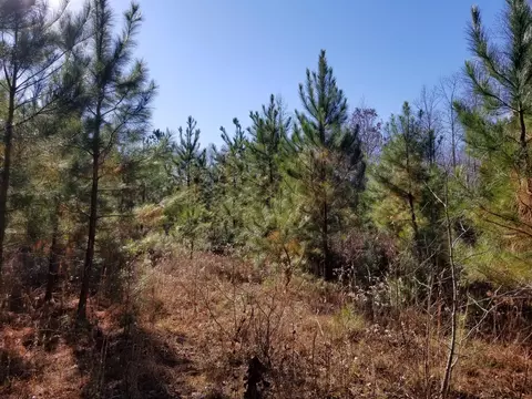 5100 Moorefield Rd, Cunningham, TN 37052 photo 5