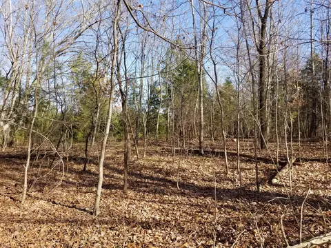 5100 Moorefield Rd, Cunningham, TN 37052 photo 4