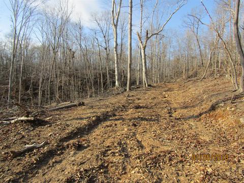294 E Piney, Dickson, TN 37055 photo 3