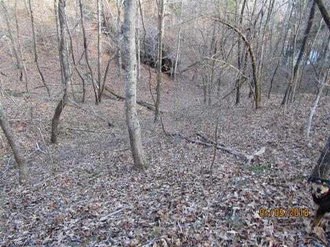 294 E Piney, Dickson, TN 37055 photo 13