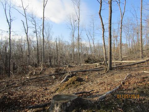 294 E Piney, Dickson, TN 37055 photo 4