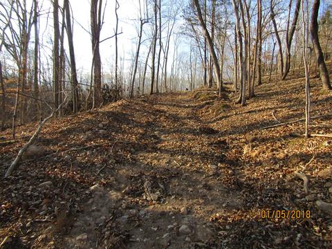 294 E Piney, Dickson, TN 37055 photo 2