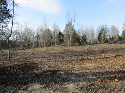 294 E Piney, Dickson, TN 37055 photo 8