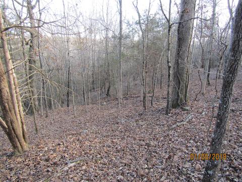 294 E Piney, Dickson, TN 37055 photo 11