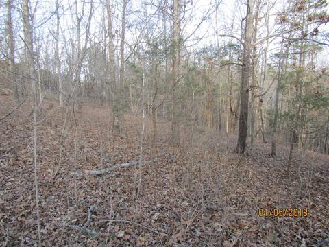 294 E Piney, Dickson, TN 37055 photo 10