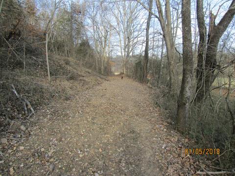 294 E Piney, Dickson, TN 37055 photo 18