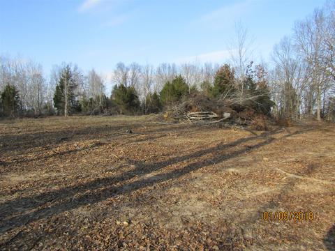 294 E Piney, Dickson, TN 37055 photo 7
