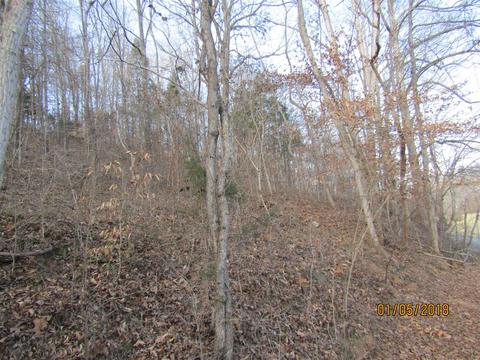 294 E Piney, Dickson, TN 37055 photo 20