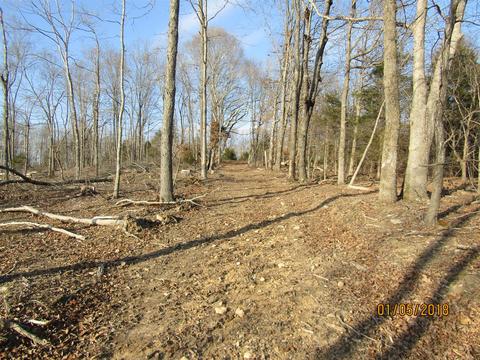 294 E Piney, Dickson, TN 37055 photo 5