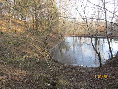 294 E Piney, Dickson, TN 37055 photo 15