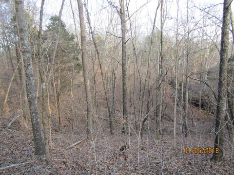 294 E Piney, Dickson, TN 37055 photo 12