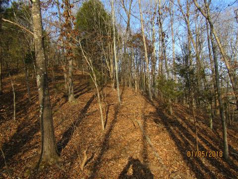 294 E Piney, Dickson, TN 37055 photo 17