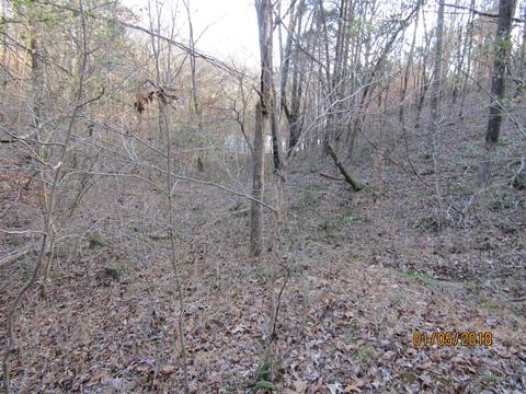 294 E Piney, Dickson, TN 37055 photo 14