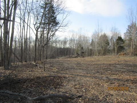 294 E Piney, Dickson, TN 37055 photo 9