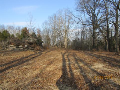 294 E Piney, Dickson, TN 37055 photo 6