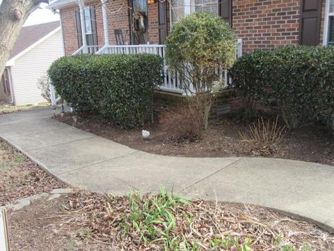 1236 Hillside Dr, Springfield, TN 37172 photo 23