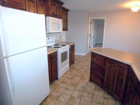 522 Polo Ln, Springfield, TN 37172 photo 5