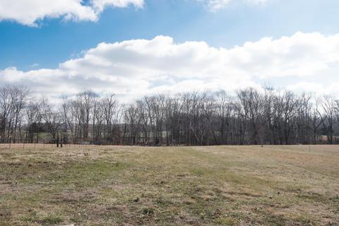 4449 Roy Cole Rd, Springfield, TN 37172 photo 20