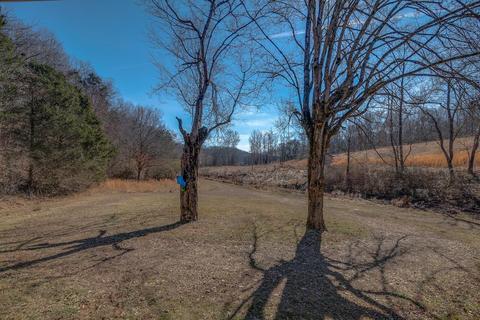 1180 County Farm Rd, Centerville, TN 37033 photo 4
