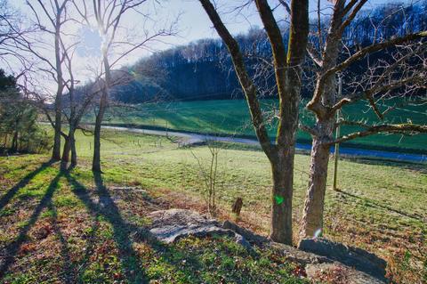 1974 Lawrence Branch Rd, Beechgrove, TN 37018 photo 4