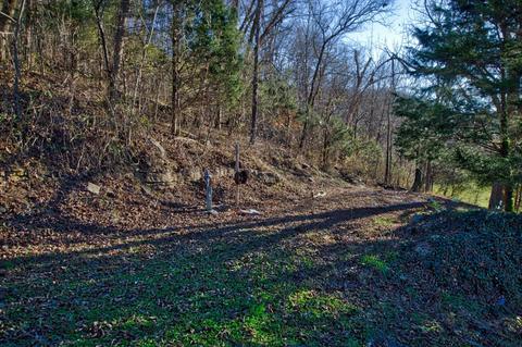 1974 Lawrence Branch Rd, Beechgrove, TN 37018 photo 10