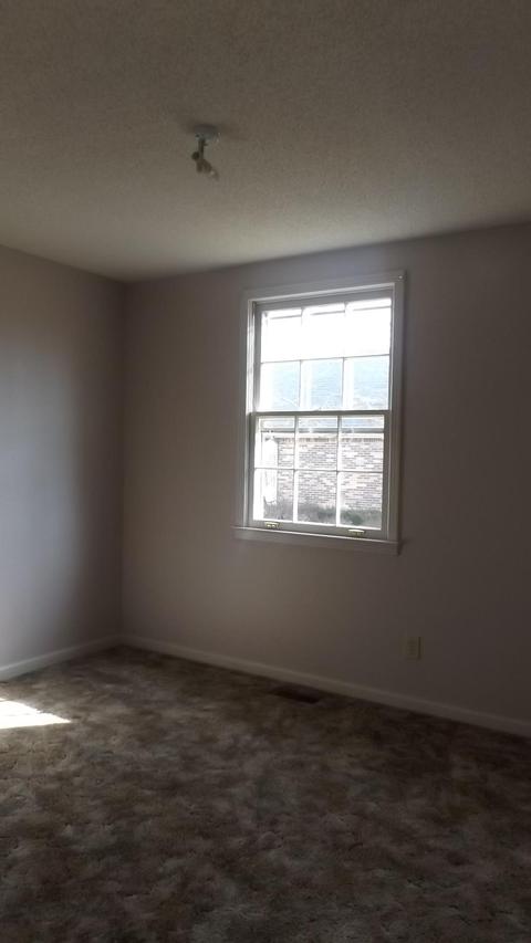 155 Southside Rd, Cunningham, TN 37052 photo 9