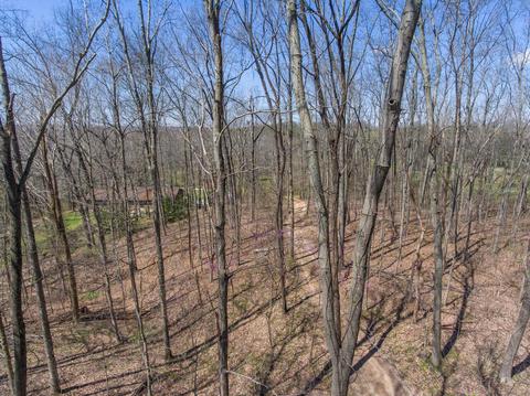6754 Herbert Shannon Rd, Springfield, TN 37172 photo 12
