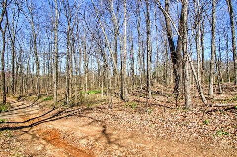 6754 Herbert Shannon Rd, Springfield, TN 37172 photo 9