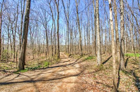 6754 Herbert Shannon Rd, Springfield, TN 37172 photo 4
