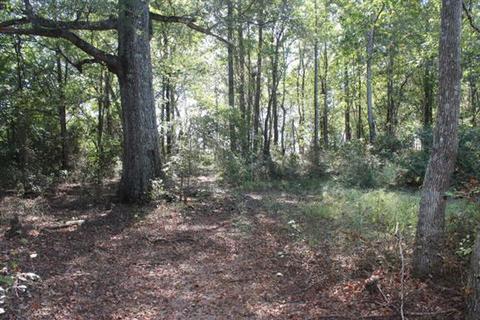 2344 Doyle Frazier, Morrison, TN 37357 photo 22