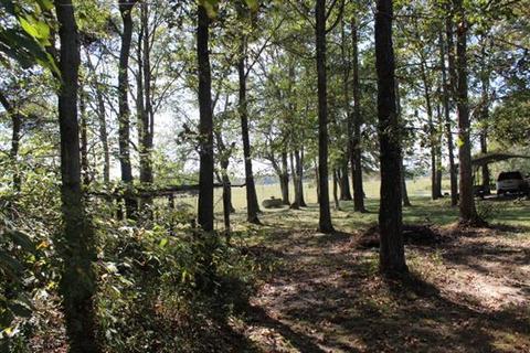 2344 Doyle Frazier, Morrison, TN 37357 photo 23