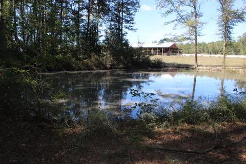 2344 Doyle Frazier, Morrison, TN 37357 photo 20