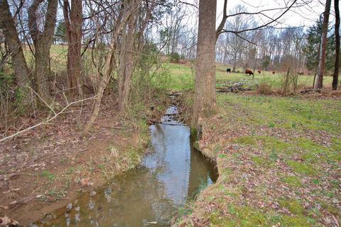 7301 Sutton Pl, Fairview, TN 37062 photo 25