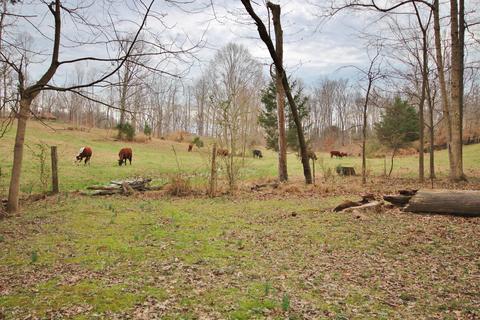 7301 Sutton Pl, Fairview, TN 37062 photo 21