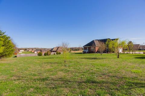 166 Glider Loop, Eagleville, TN 37060 photo 20