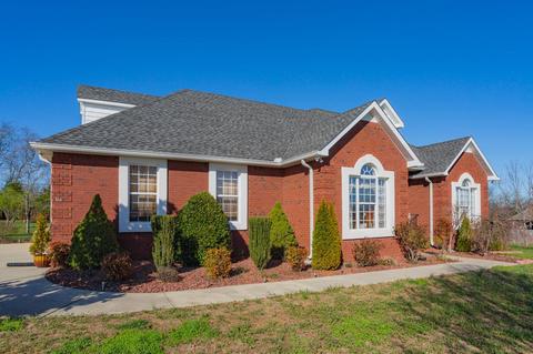 166 Glider Loop, Eagleville, TN 37060 photo 2