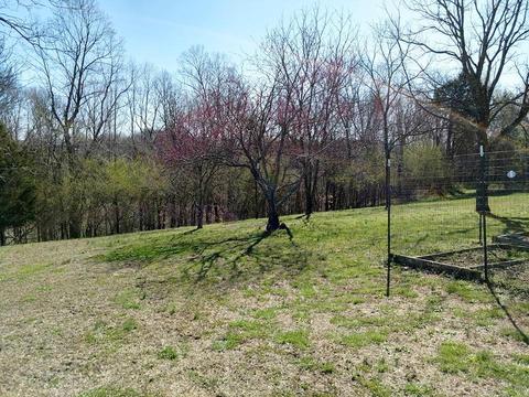 1015 Oak Grove Rd, Goodspring, TN 38460 photo 14