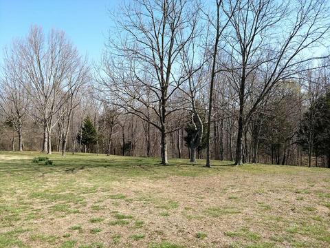1015 Oak Grove Rd, Goodspring, TN 38460 photo 11