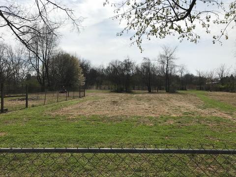 1402 Mockingbird Ln, Murfreesboro, TN 37130 photo 25