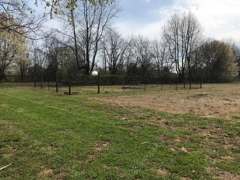 1402 Mockingbird Ln, Murfreesboro, TN 37130 photo 24