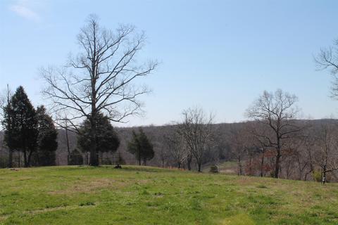 152 Wolf Creek Rd, Centerville, TN 37033 photo 9