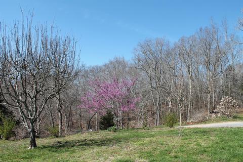 152 Wolf Creek Rd, Centerville, TN 37033 photo 8