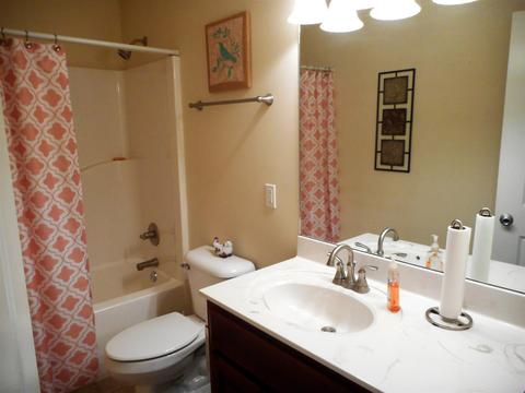 4202 Roy Cole Rd, Springfield, TN 37172 photo 9
