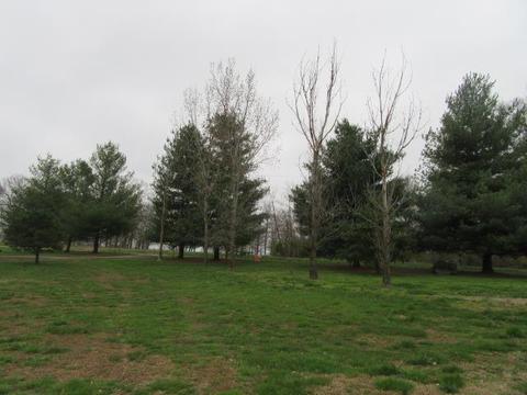 6210 Lakeview Rd, Springfield, TN 37172 photo 18